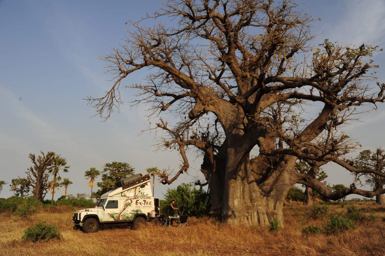 mit dem defender von extec Nachtlager unter einem riesigen Baobab im Senegal
